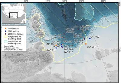 Effects of sea ice retreat and ocean warming on the Laptev Sea continental slope ecosystem (1993 vs 2012)